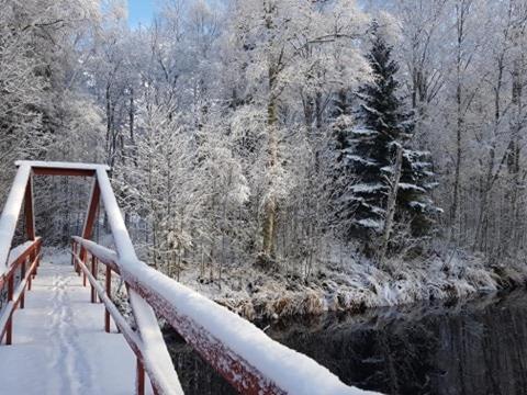 Loevanger Kyrkstad Lovanger Kültér fotó